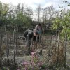 Бригадный метод  социального обслуживания
